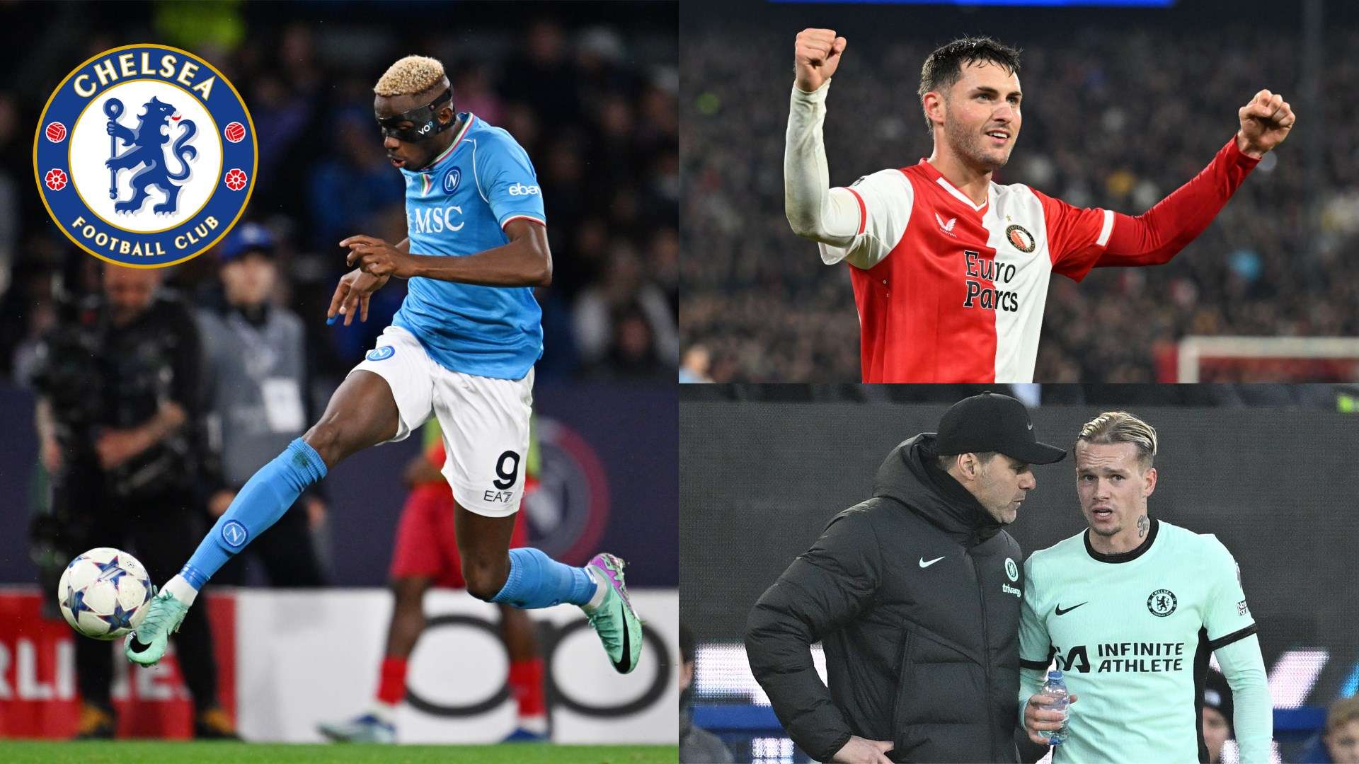 外截然不同 外截然不同