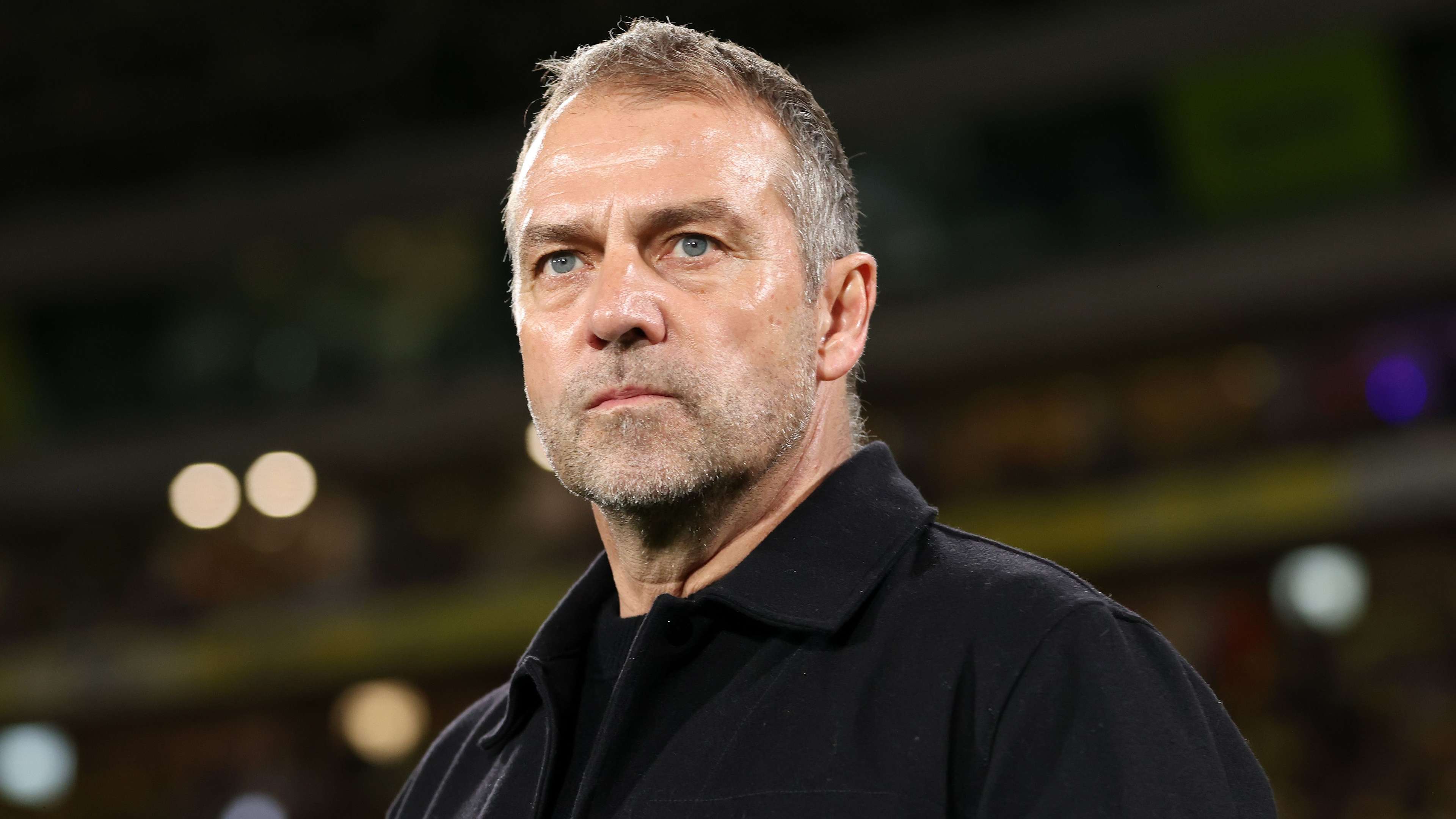 协作和意大 协作和意大