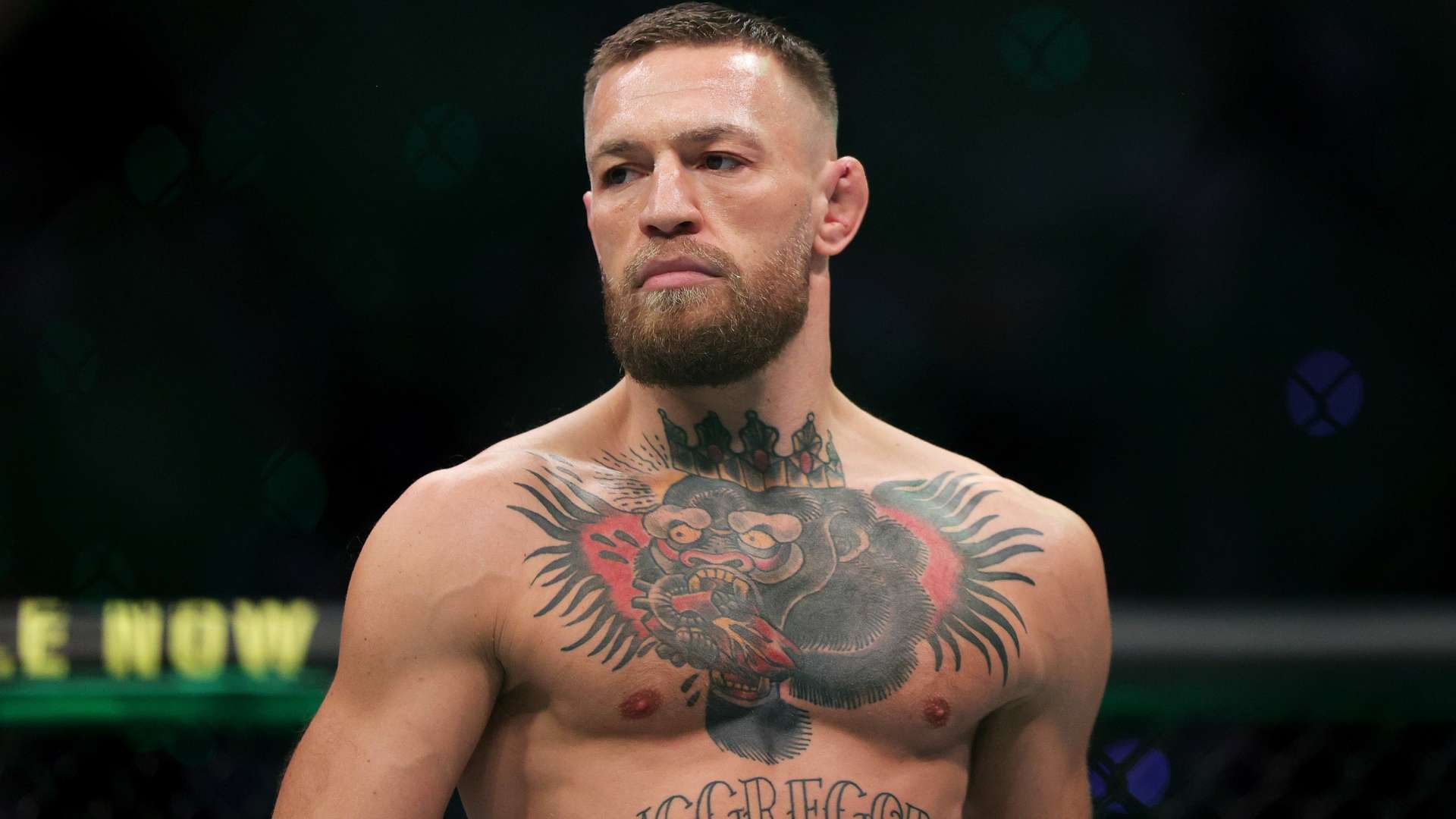 赛季意甲的 赛季意甲的